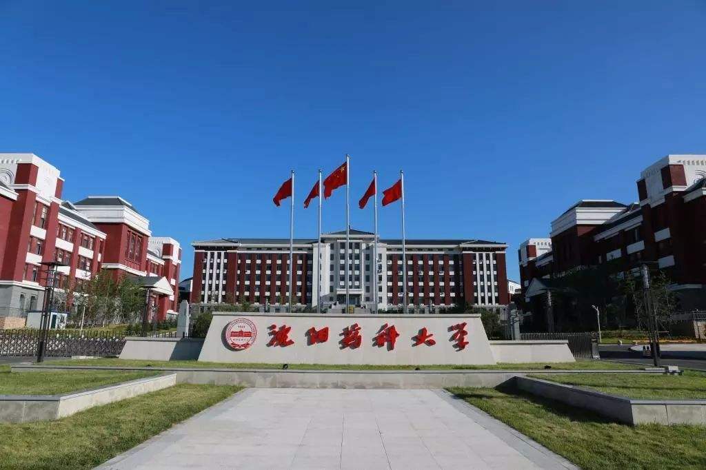 沈阳药科大学待遇(沈阳药科大学待遇好吗)