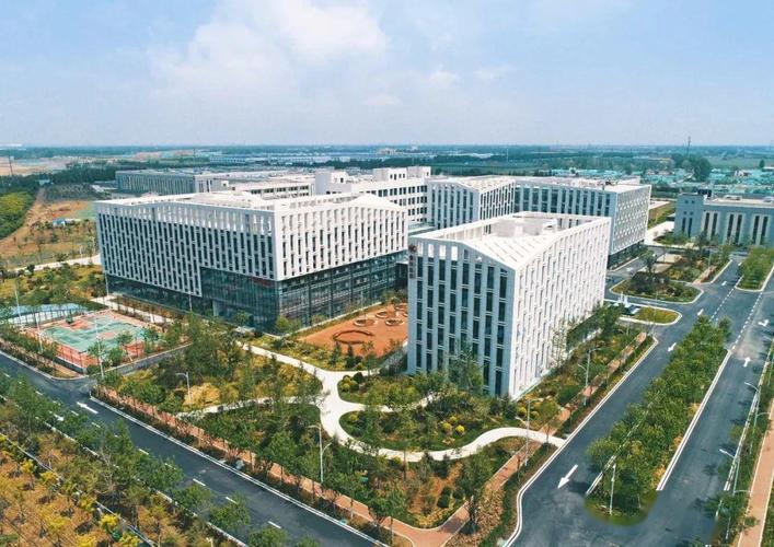 鲁抗待遇怎么样(山东鲁抗待遇怎么样)