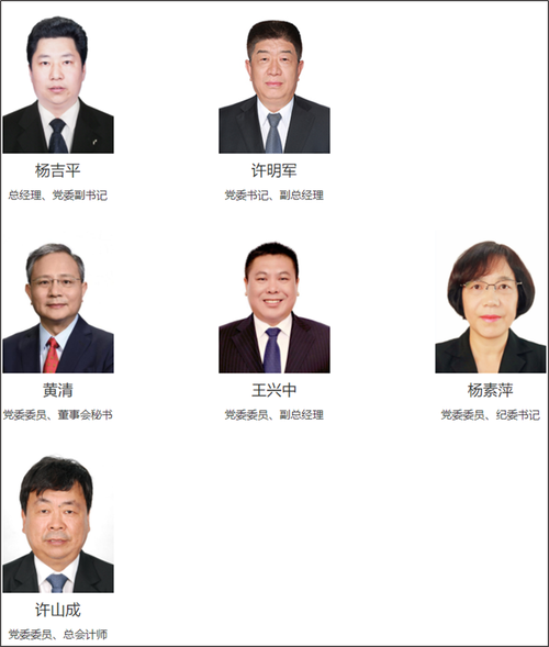 神华国能待遇(神华国能集团领导班子成员)