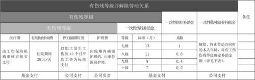 工伤保险待遇结算单(工伤医保结算单)