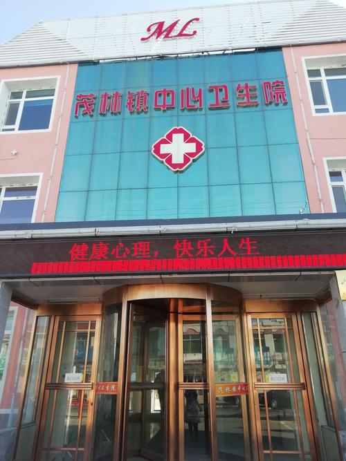 茂林卫生院待遇(茂林卫生院待遇怎么样)