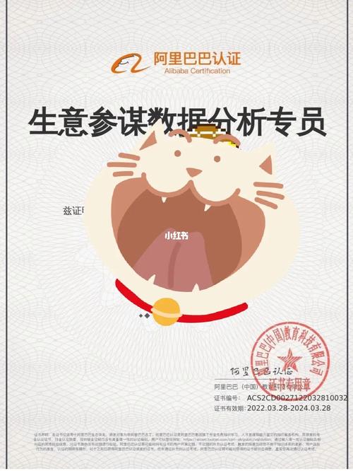 阿里运营专员待遇(阿里运营专员待遇好吗)