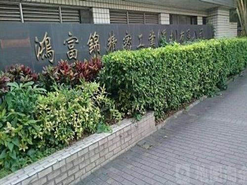 鸿富锦精密工业(深圳)有限公司待遇如何(鸿富锦精密电子怎么样)
