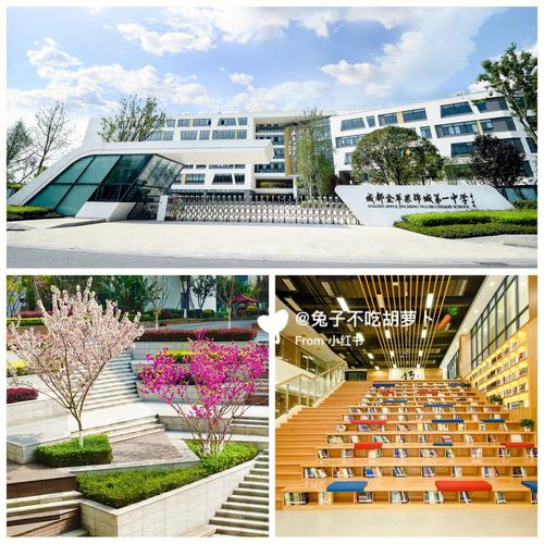 成都金苹果待遇怎么样(成都金苹果国际学校招聘)