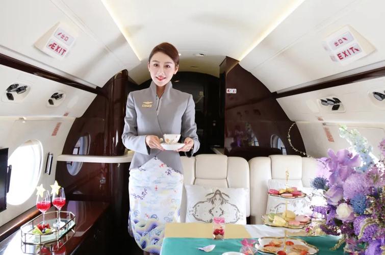 金鹿公务机机务待遇(金鹿航空公务机空乘人员工资)