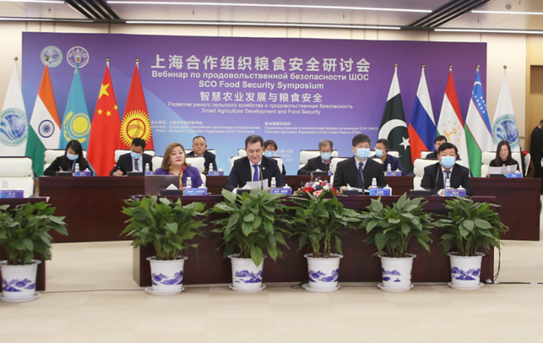 上海国利待遇的简单介绍