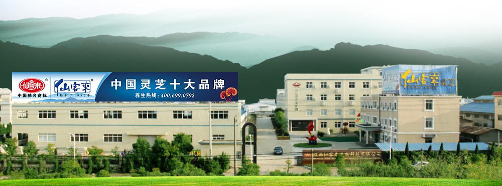 新四方工资待遇(新四方科技有限公司)