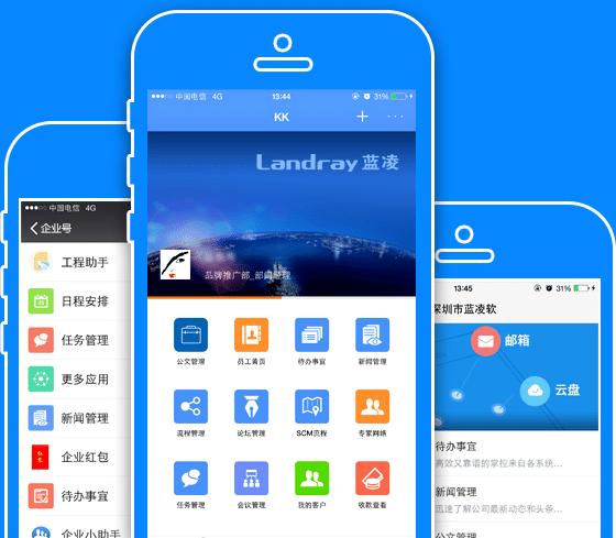 蓝凌软件待遇(蓝凌软件是外包吗)