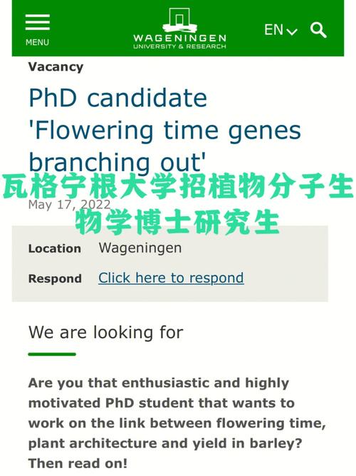 分子生物学博士待遇的简单介绍