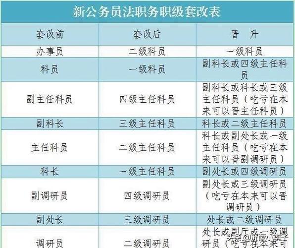 党政办科员待遇(党政办科员与科员的区别)