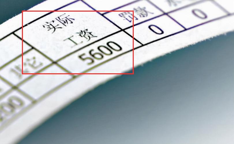 体委的工资待遇(体委干什么)