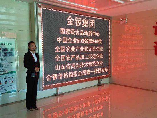 临沂金锣待遇怎么样(临沂金锣上班怎么样)