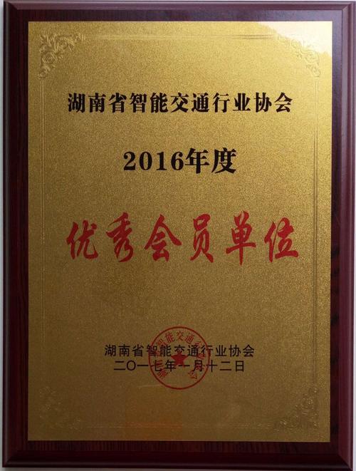 湖南致信信息股份有限公司待遇(湖南致信监理)