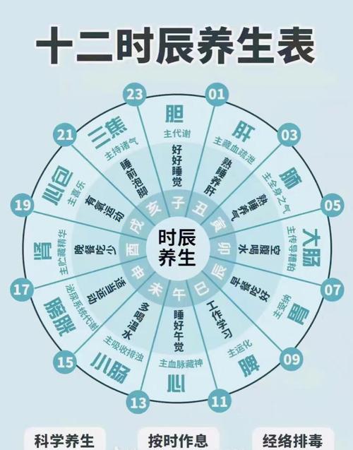 养生知识文章-{下拉词