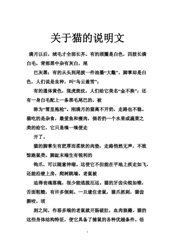 小猫的知识文章-{下拉词