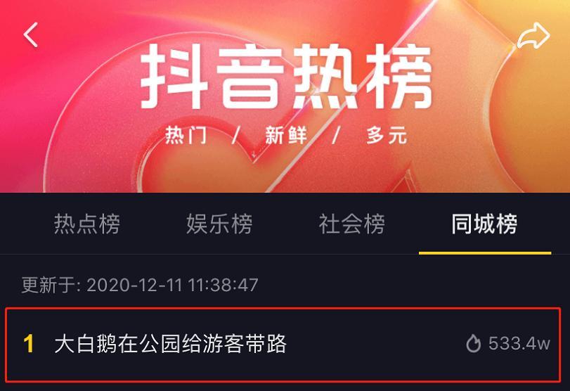 抖音娱乐热点资讯在哪里看(抖音娱乐热点资讯在哪里看到)