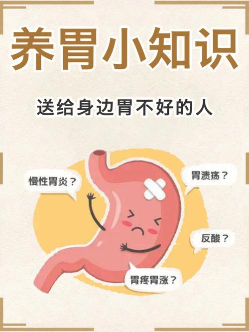 养胃知识科普文章-{下拉词
