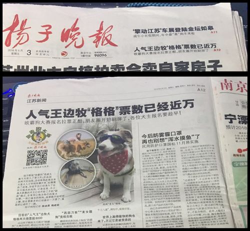 娱乐新闻资讯节目文稿-{下拉词