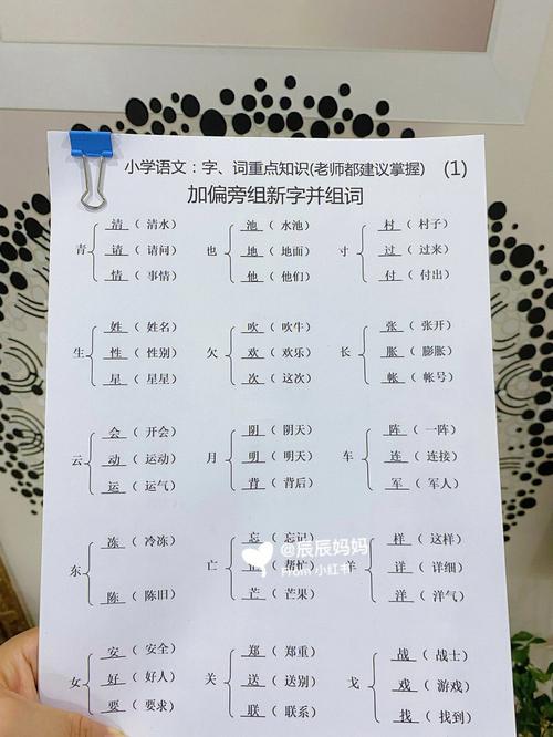 什么是生活知识的文章-{下拉词
