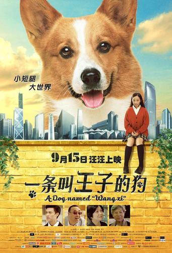 娱乐资讯狗-{下拉词