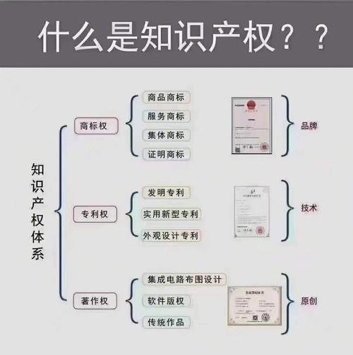 社科知识文章选择题-{下拉词