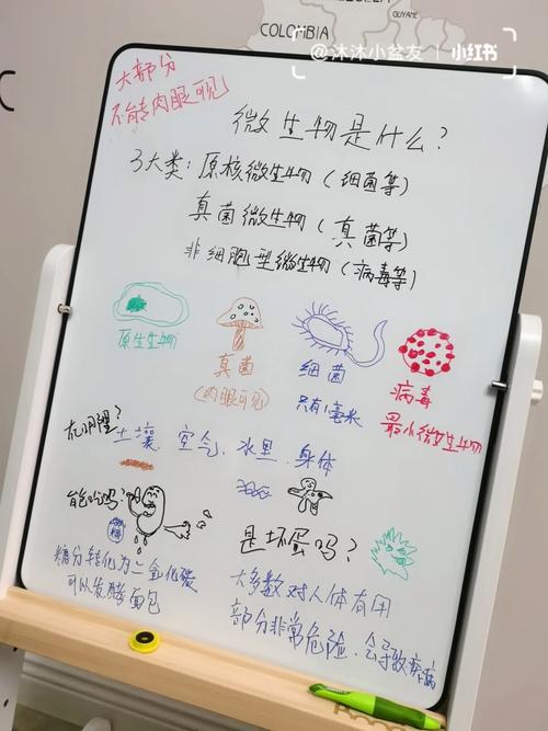 科普生物知识的文章题目-{下拉词