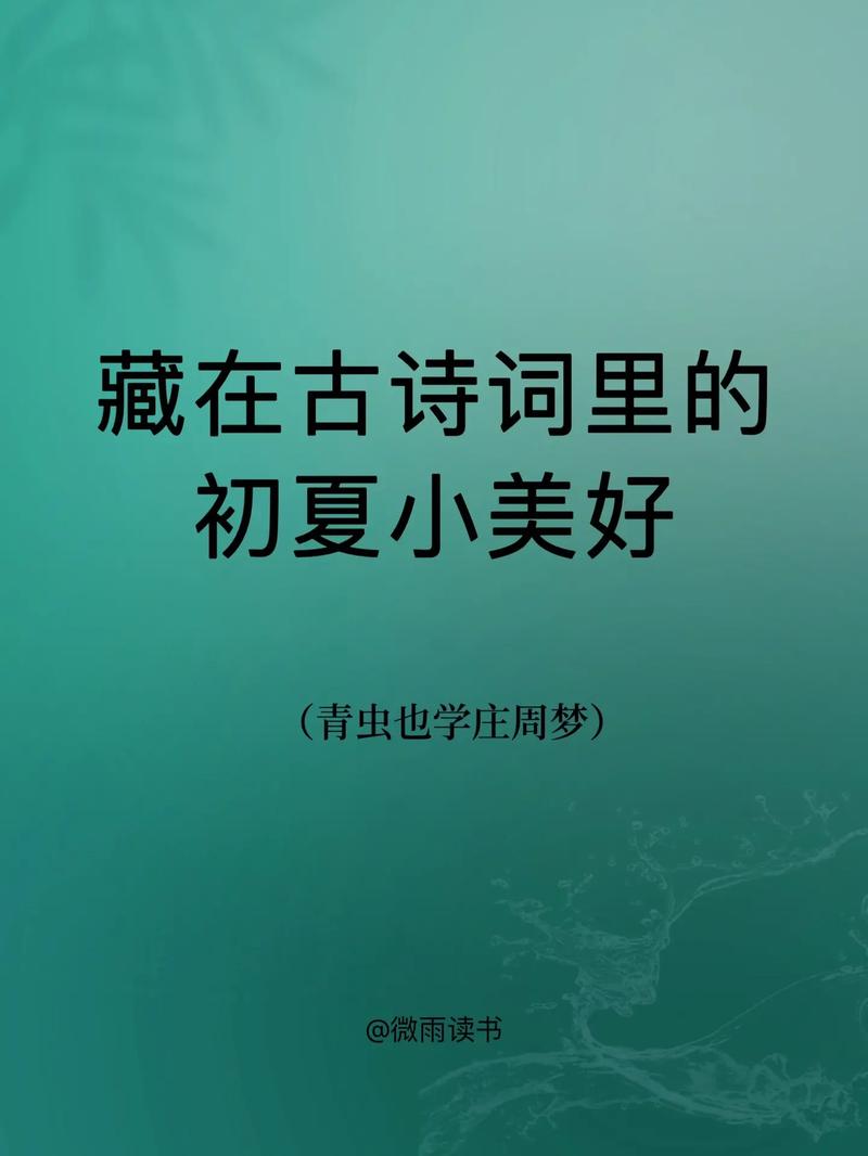 初夏娱乐资讯-{下拉词