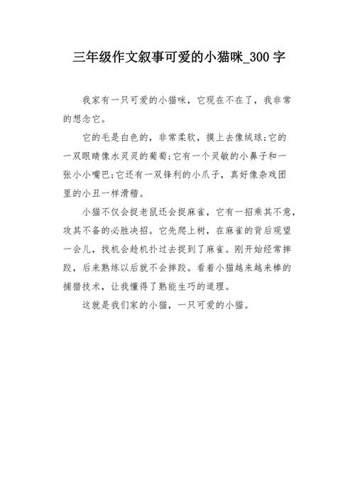 小猫的知识文章有哪些-{下拉词