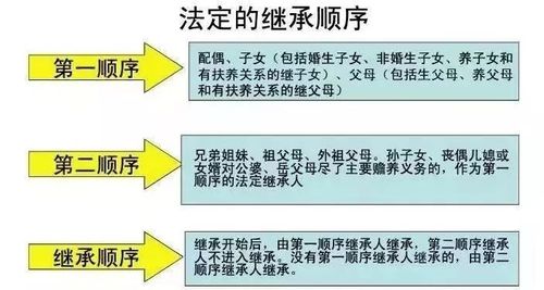 房产继承权的顺序人-{下拉词
