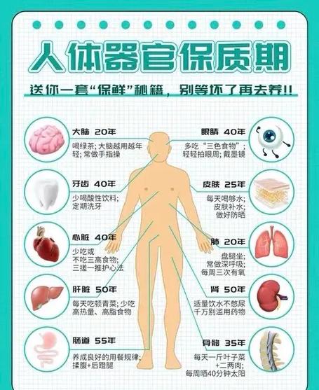 人体各器官的知识文章大全-{下拉词