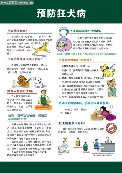 狂犬病预防知识文章标题-{下拉词