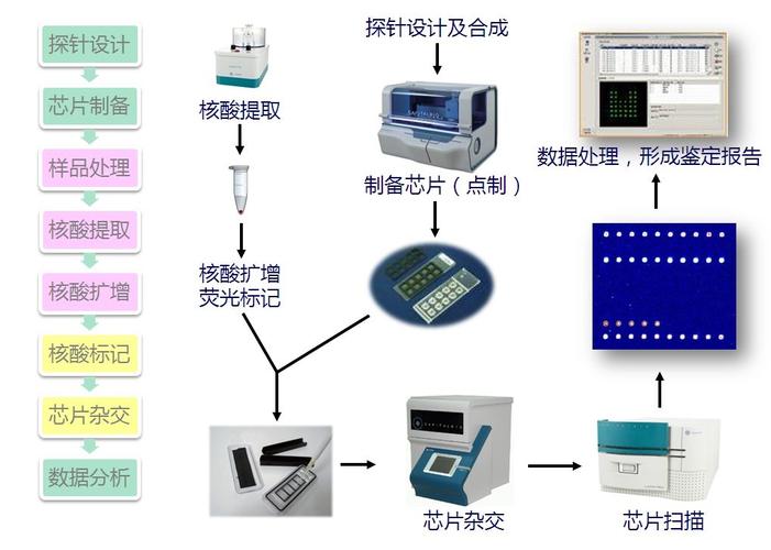 芯片数据分析-{下拉词