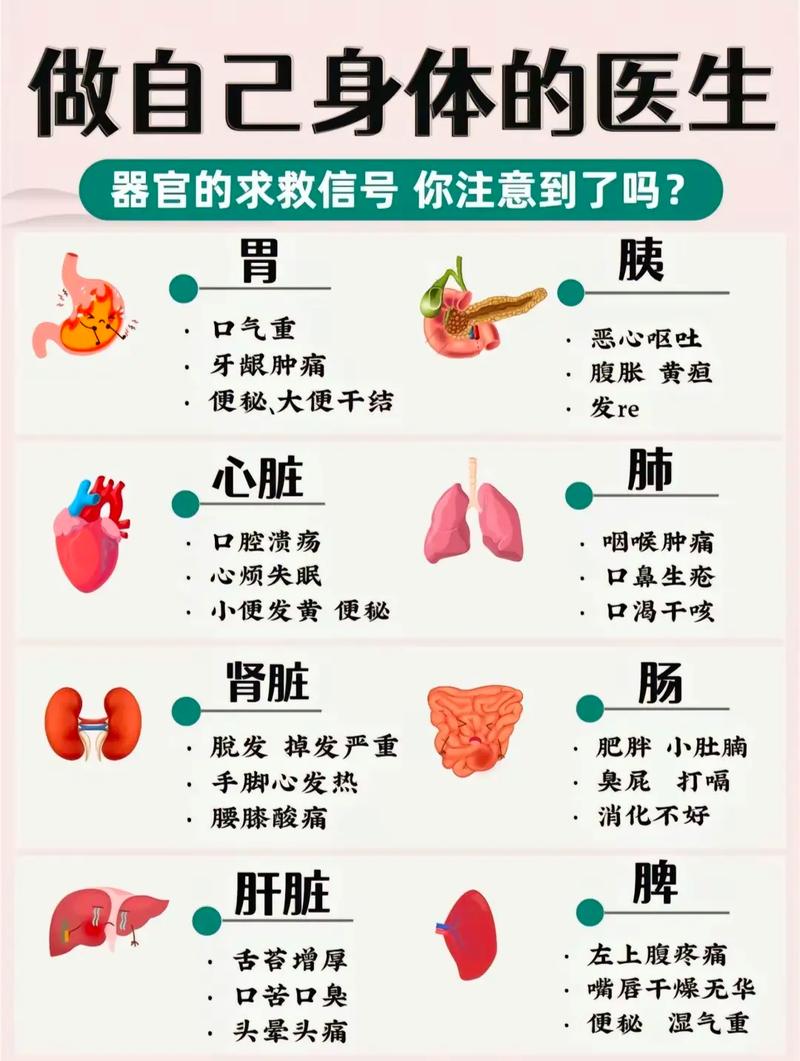 人体各器官的知识文章简介-{下拉词