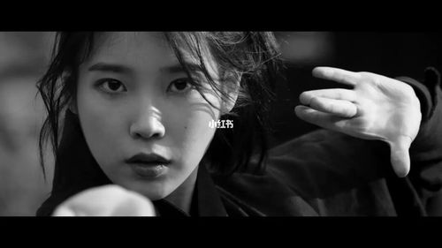 iu 娱乐资讯-{下拉词