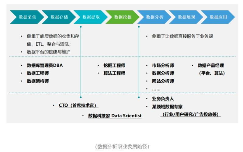 数据分析职业发展-{下拉词