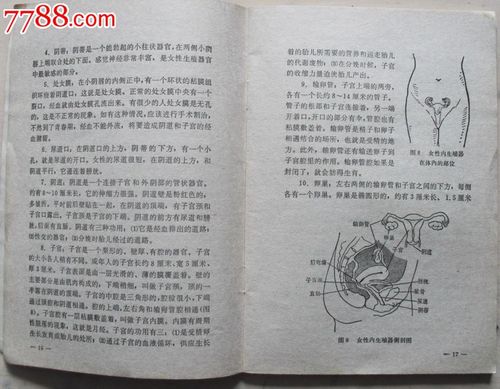 讲性知识的短篇文章-{下拉词