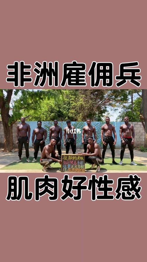 非洲娱乐资讯-{下拉词