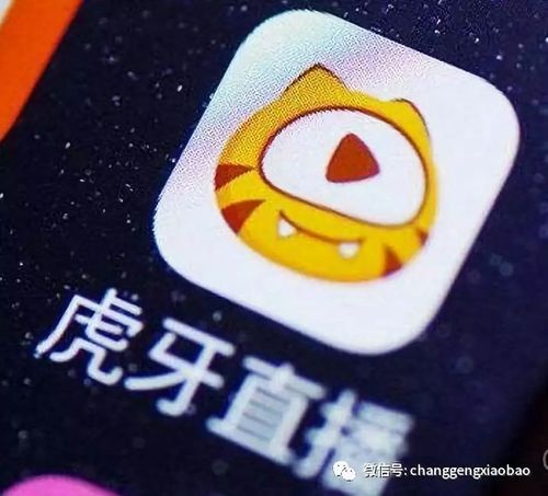 虎牙说汽车资讯-{下拉词