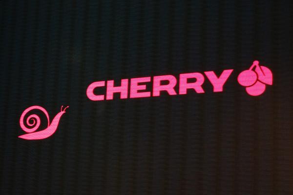 cherry娱乐资讯-{下拉词