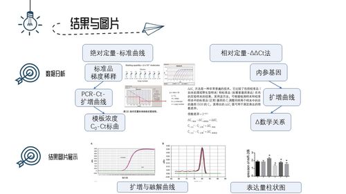荧光定量pcr数据分析-{下拉词