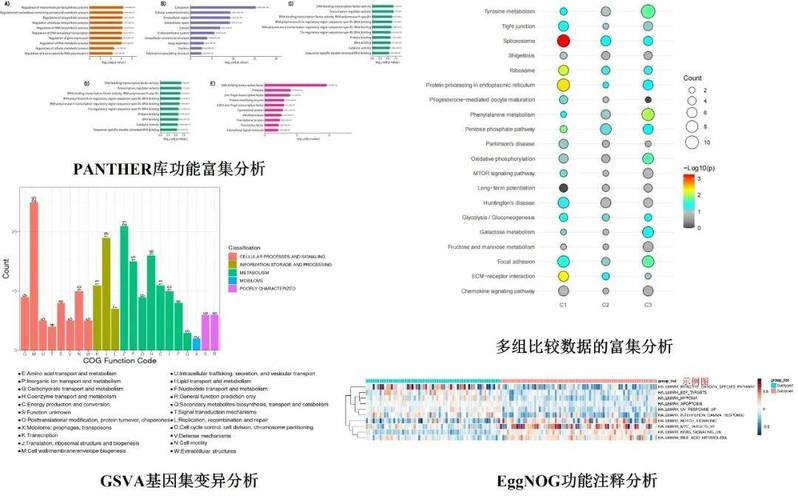 蛋白质组学数据分析-{下拉词