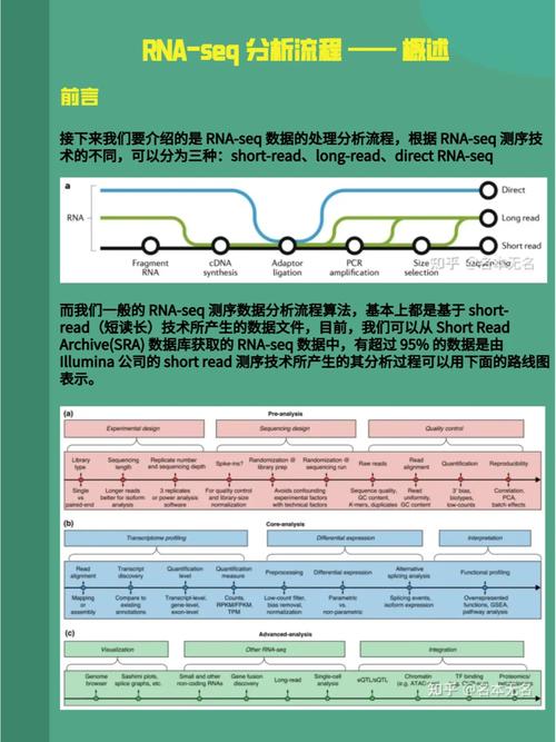 rnaseq数据分析流程-{下拉词