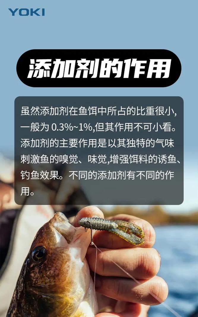 渔具知识文章-{下拉词