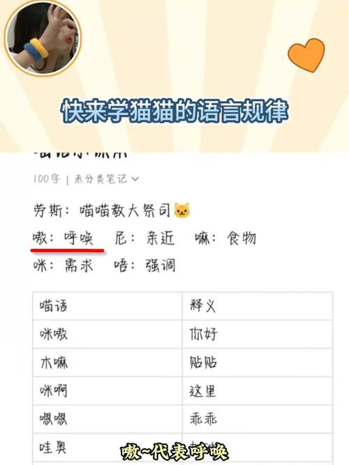 猫咪娱乐资讯-{下拉词