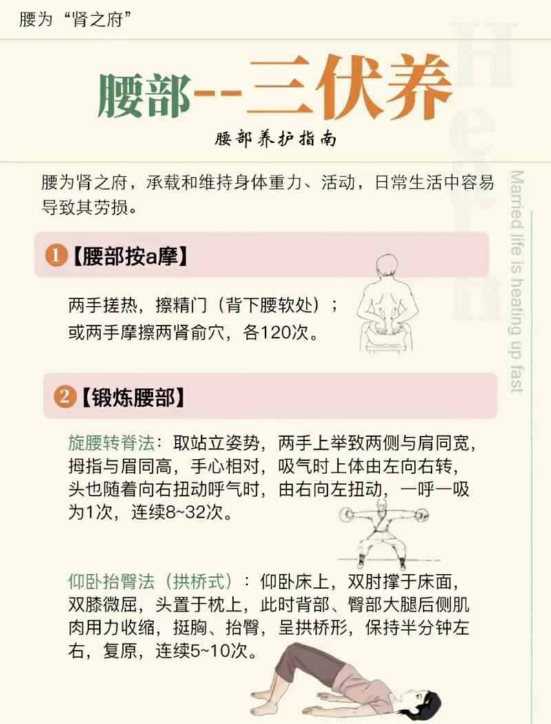护腰知识科普文章(日常护腰)