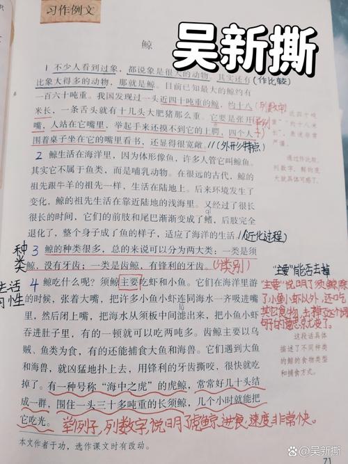 鲸鱼知识文章-{下拉词