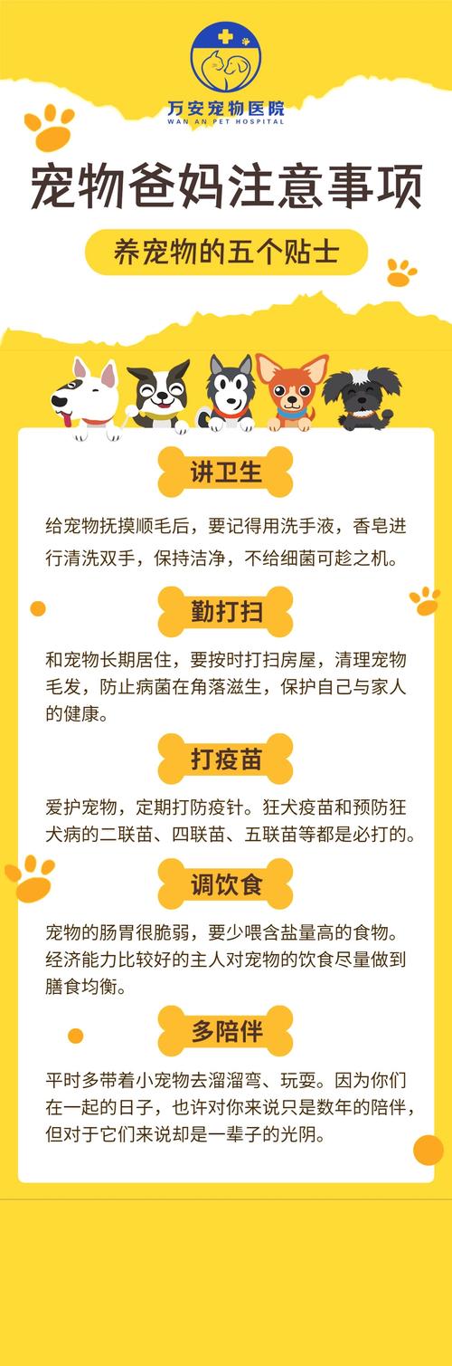 宠物小知识科普文章(宠物知识普及)