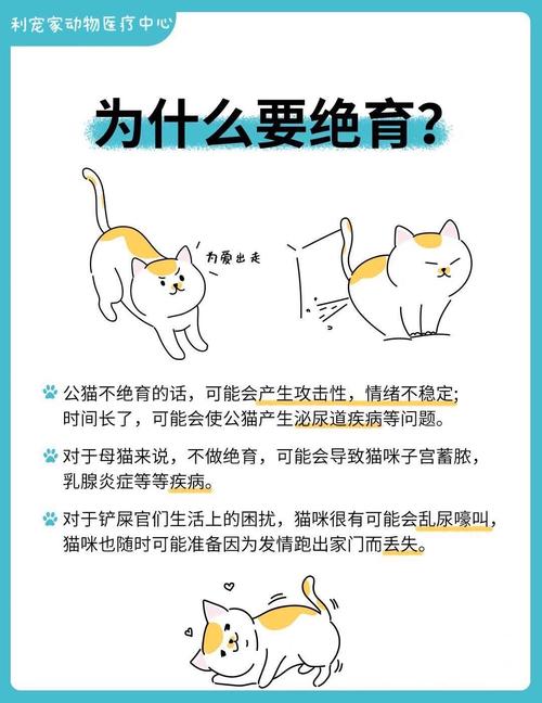 犬猫知识科普文章(犬猫基础知识)
