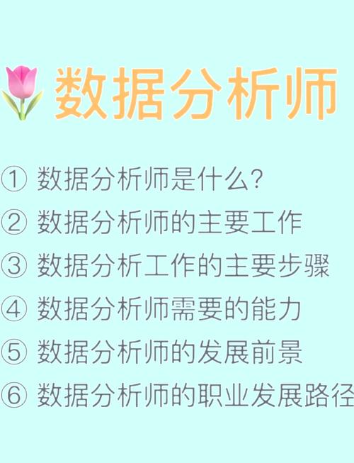 数据分析员前景-{下拉词