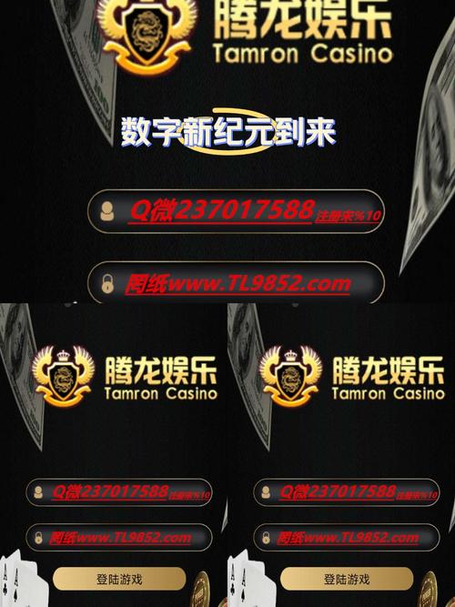 网络娱乐体育资讯-{下拉词